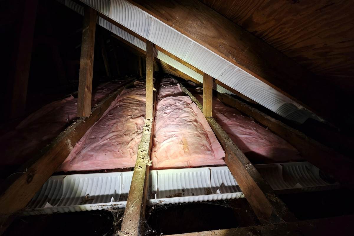 Roofing Contractor in Westchester, CA — Green Roofing in Westchester, CA